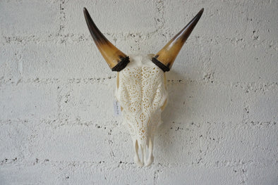 Real Cow Skull Carving 003
