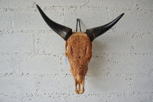 Real Cow Skull Carving 005