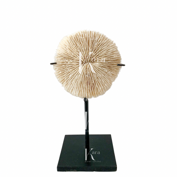 CORAL WITH STAND